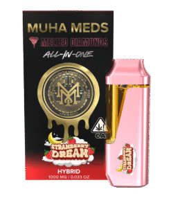 STRAWBERRY DREAM | HYBRID