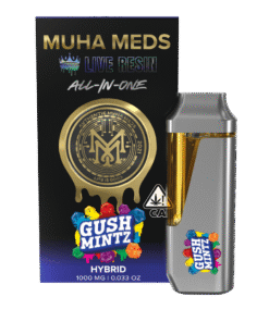 GUSH MINTZ | HYBRID